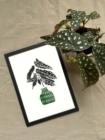 Original Lino Print - Plant Collection -  Begonia