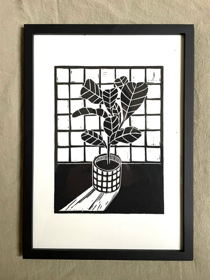 Original Lino Print - Fig Plant