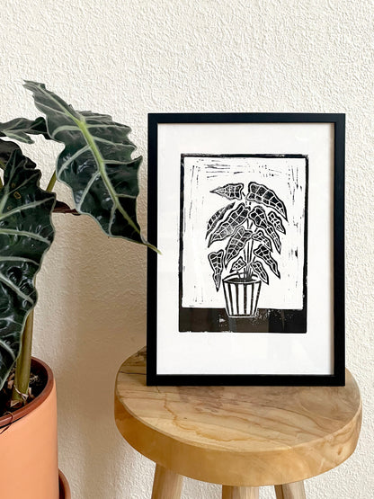 Original Lino Print - Alocasia